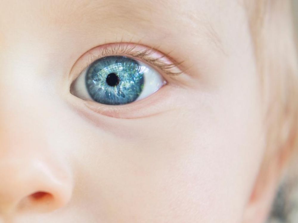Voir Une Lumiere Blanche En Fermant Les Yeux