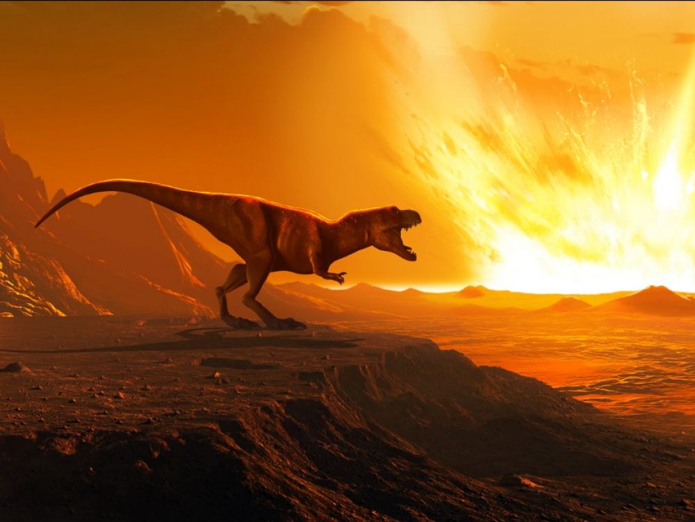 Combien De Temps Les Dinosaures Ont ils Vécu Sur Terre Combien de Tyrannosaurus rex ont-ils vécu sur Terre ? - Unalive