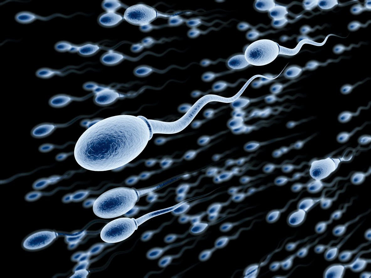 Tout savoir sur le sperme - Unalive